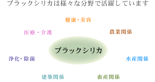 ブラックシリカは様々な分野で活躍しています。