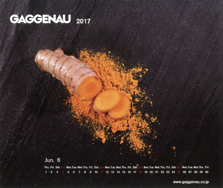 Gaggenau Calendar(ガゲナウ　カレンダー) 2016.6