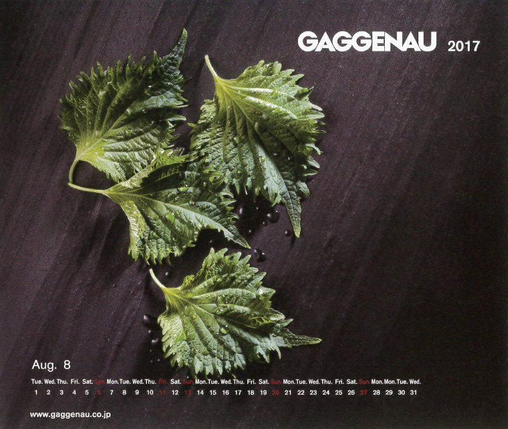 Gaggenau Calendar(ガゲナウ　カレンダー) 2016.8