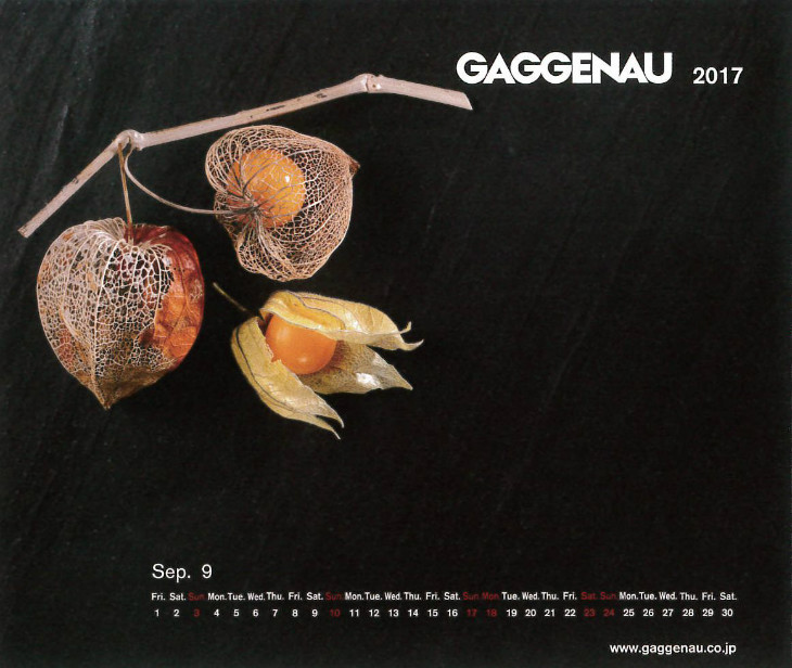 Gaggenau Calendar(ガゲナウ　カレンダー) 2016.9
